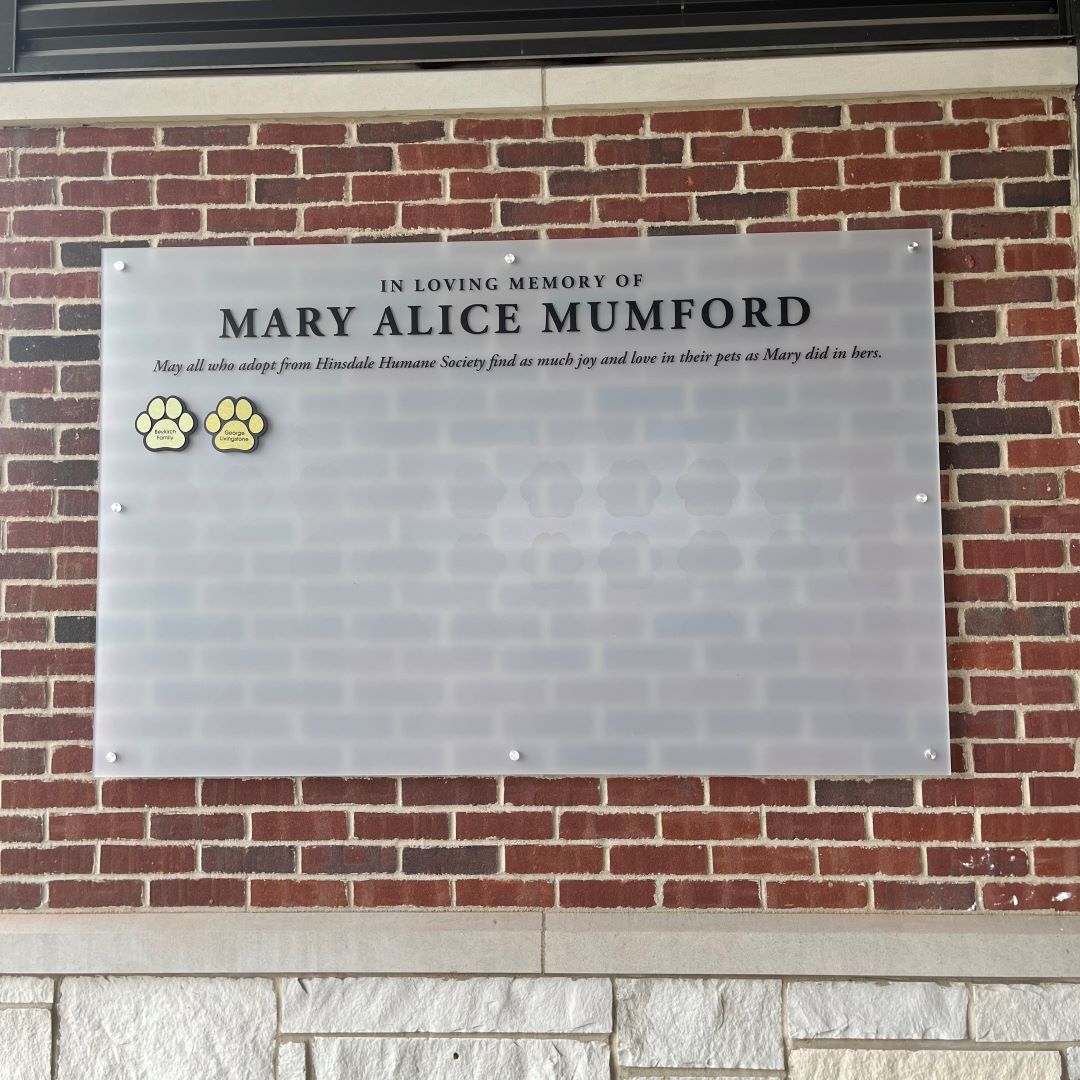 In Loving Memory of Mary Alice Mumford