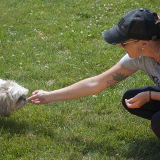 Dogtraining3