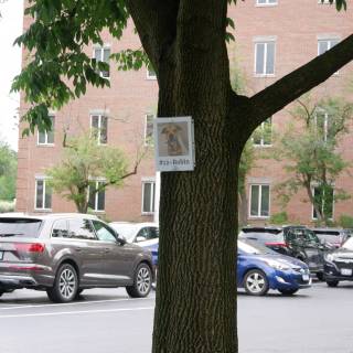 P1060080