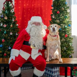 Santa paws 2022-01