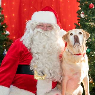 Santa paws 2022-02