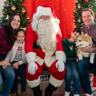 Santa paws 2022-11