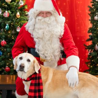 Santa paws 2022-14