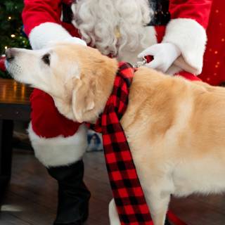 Santa paws 2022-15