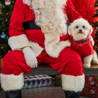 Santa paws 2022-23