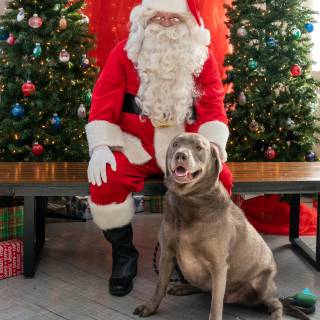 Santa paws 2022-28