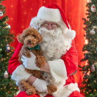 Santa paws 2022-33