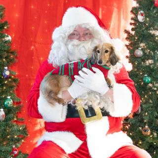 Santa paws 2022-45