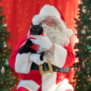 Santa paws 2022-48