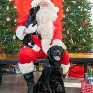Santa paws 2022-55