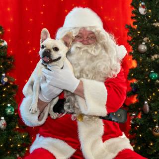 Santa paws 2022-56