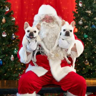 Santa paws 2022-57
