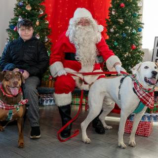 Santa paws 2022-59