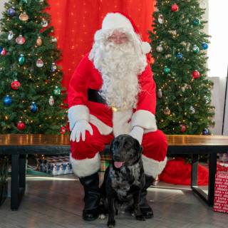 Santa paws 2022-63