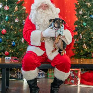 Santa paws 2022-67