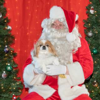 Santa paws 2022-72