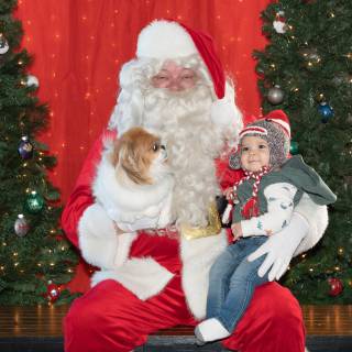 Santa paws 2022-73