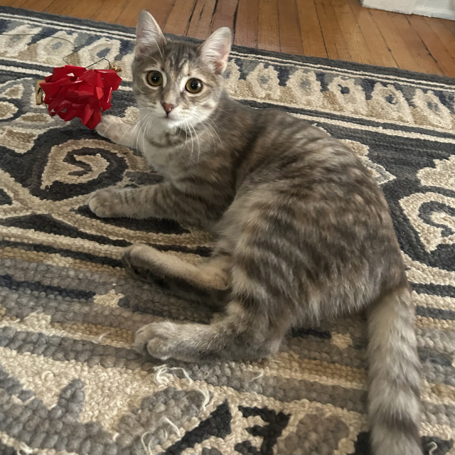 Flo (bonded w/ Mayhem)