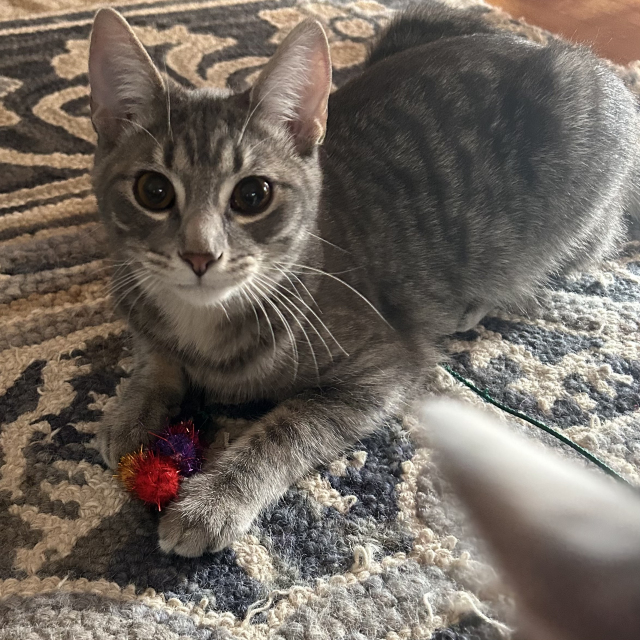 Mayhem (bonded w/ Flo)