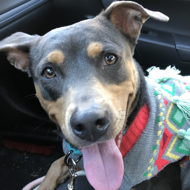 Zoey