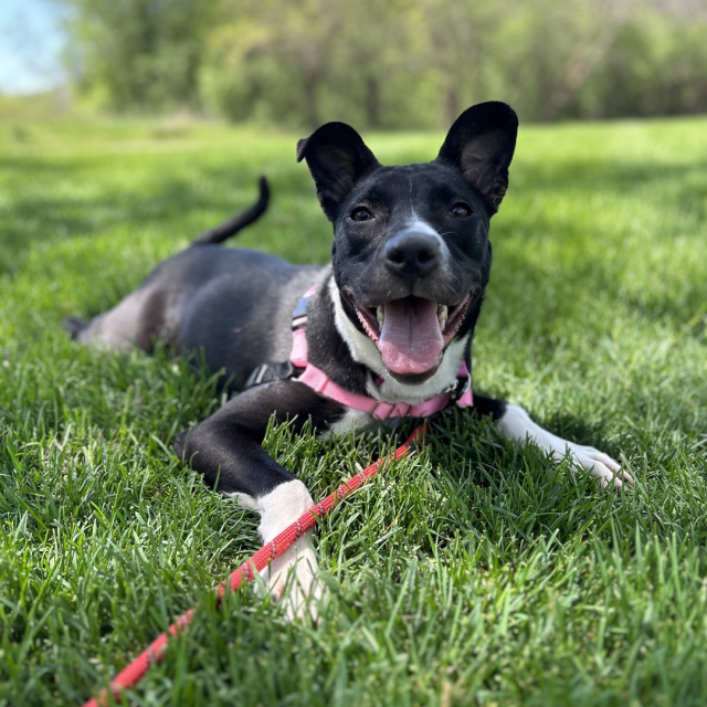 Lucy