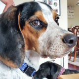 Barnaby