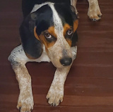 Barnaby
