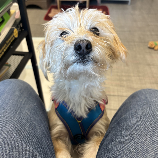 Otis