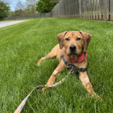 Copper