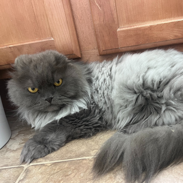 Gandalf
