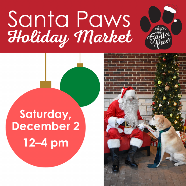 Santa paws market square