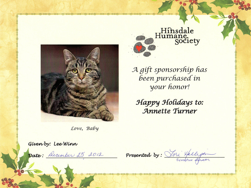 Sponsor a Homeless Animal | Hinsdale Humane Society