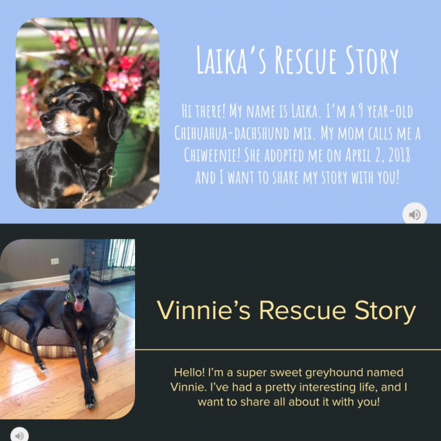 Rescue stories