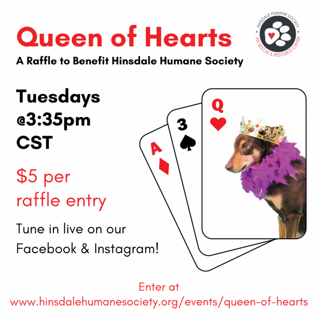 Queen of hearts graphic general updated