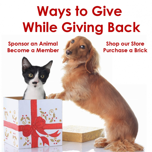 Ways to give