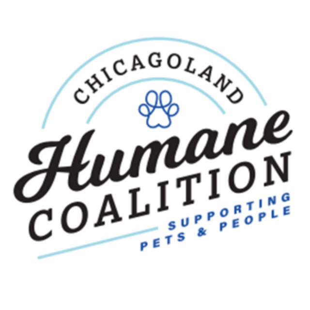 Chicagoland humane coalition (1)