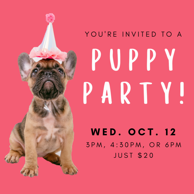Puppy party 2022