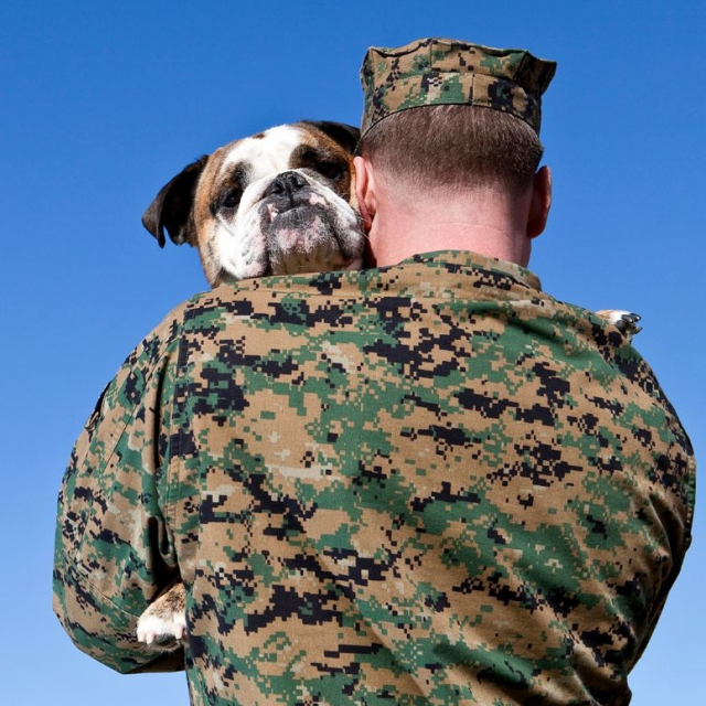 Veteran-service-dog-ftrsq