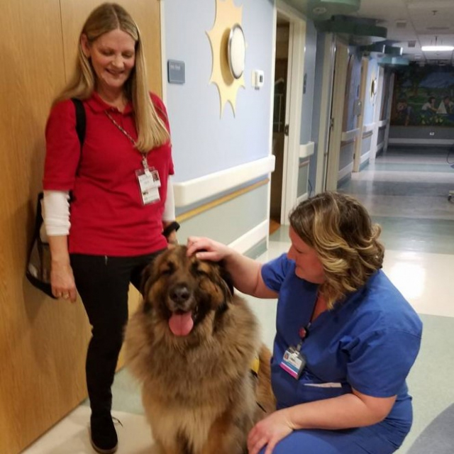 Volunteer-vet