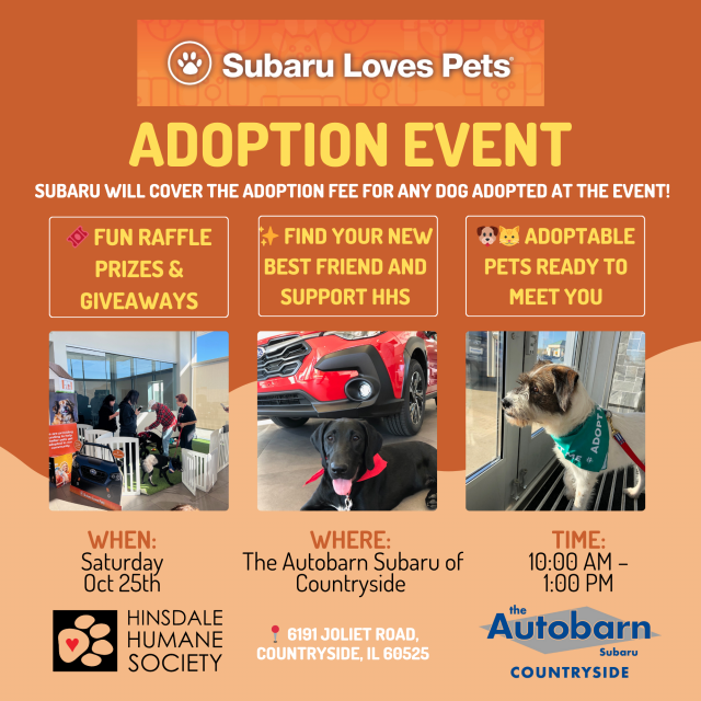 Adoption event - oct 25 - square version