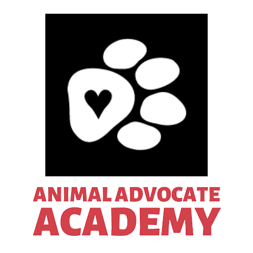 Animal advocate sq