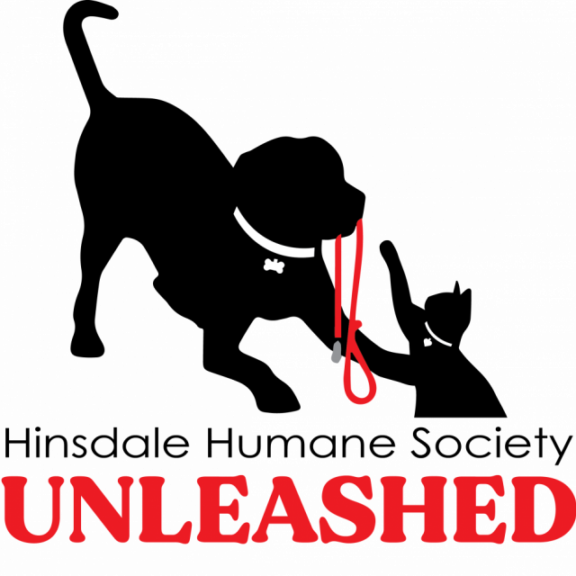 Hhs unleashed logo final