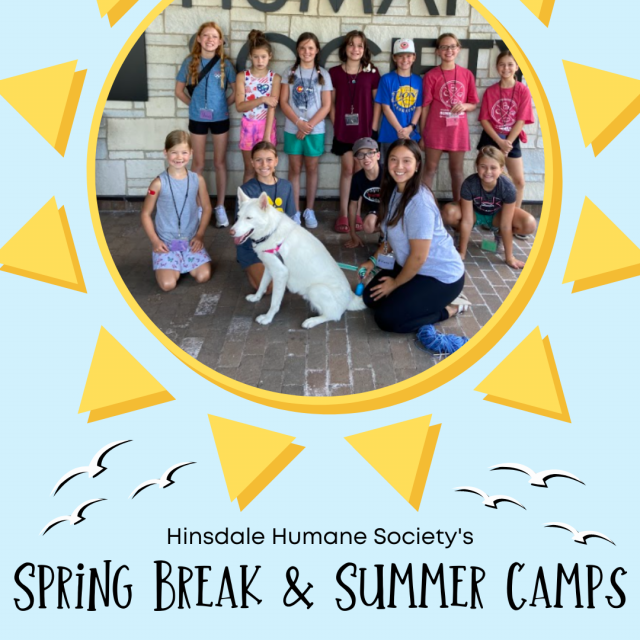 Spring break and summer camp