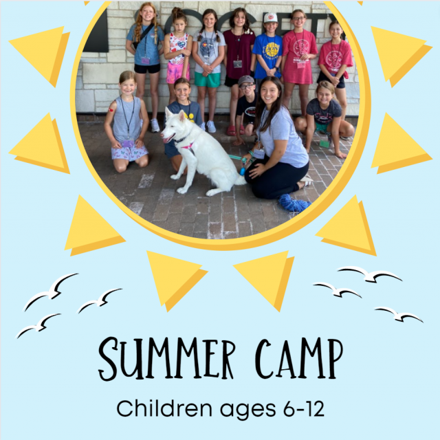 Summer camp 2023