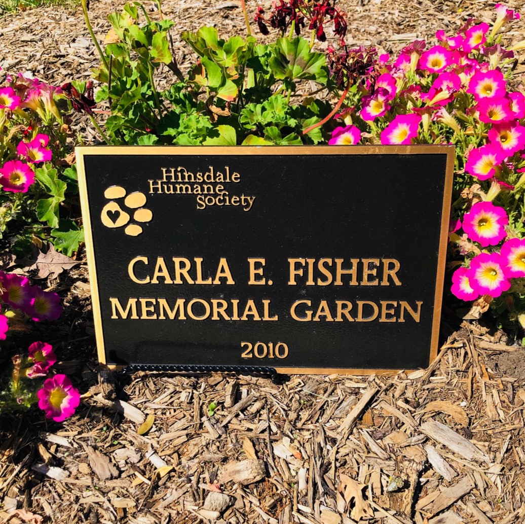Carla E. Fisher Memorial Garden 2010