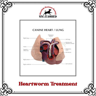 Fund a need heartworm