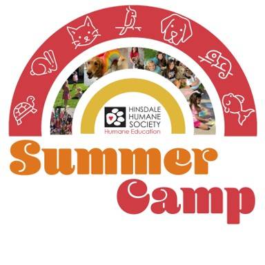 Summer-camp sq