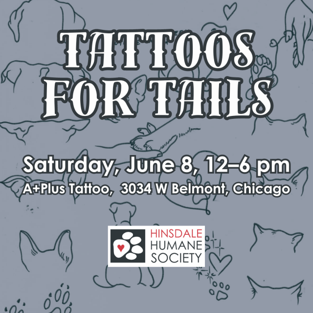 Tattoos for tails sq