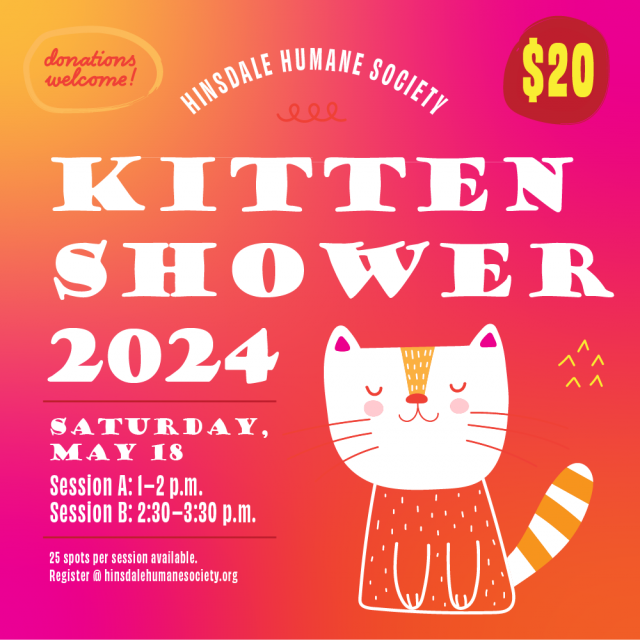 kitten-shower-2024
