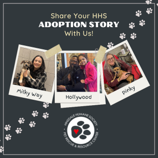 Share your story square (640 x 640 px) (1)